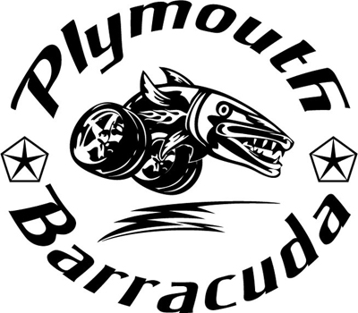 BarracudaStripe.jpg